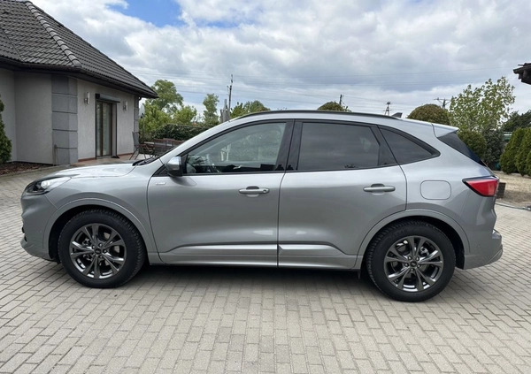 Ford Kuga cena 145500 przebieg: 9800, rok produkcji 2023 z Krotoszyn małe 742